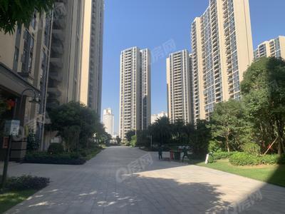 效果图
