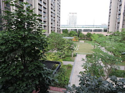 实景图